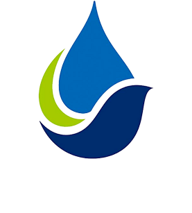 sindaema_rdp2